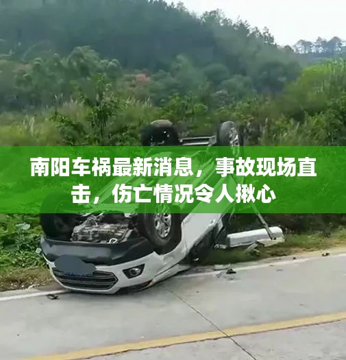 南阳车祸最新消息，事故现场直击，伤亡情况令人揪心