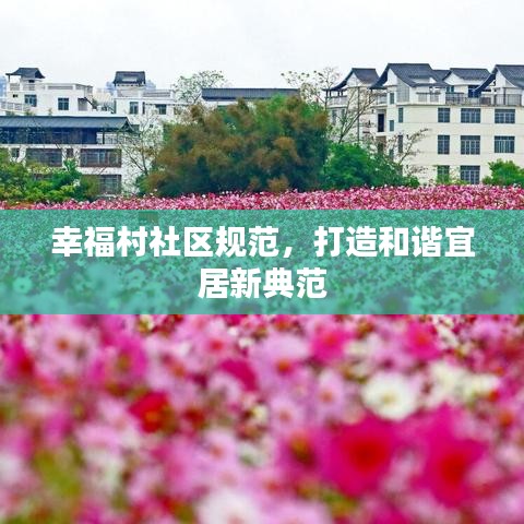 幸福村社区规范，打造和谐宜居新典范